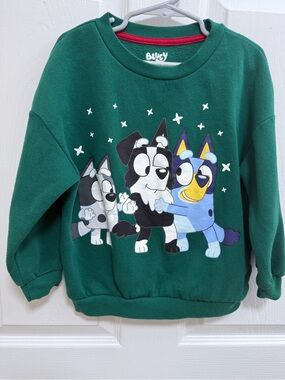 Bluey Sweatshirt in Green, Size 5T